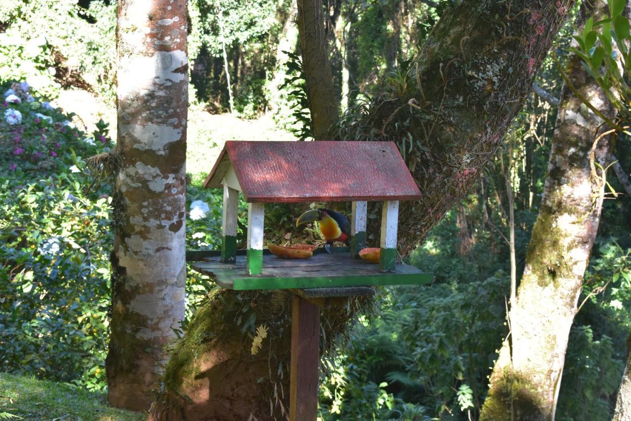 Pousada Amanita Monte Verde Monte Verde  Bagian luar foto